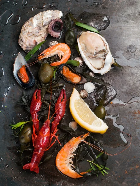 Lezzetli taze deniz ürünleri 