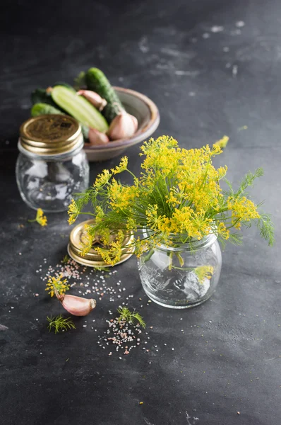 Fresh dill flower — Stock Image Fresh dill flower Royalty Free Stock Images