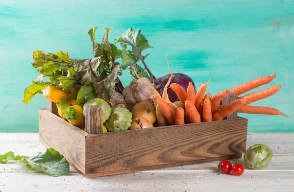 Produtos hortícolas frescos diferentes — Fotografia de Stock