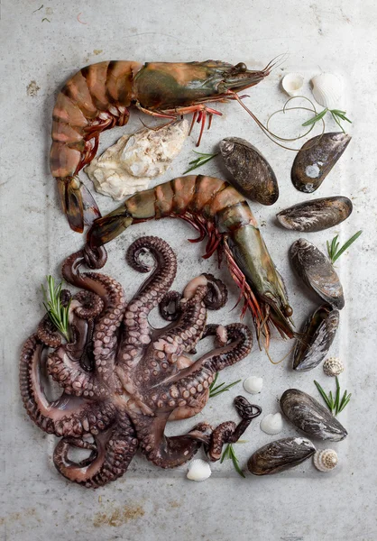Fond alimentaire avec fruits de mer — Photo