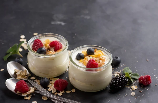 Joghurt mit Müsli oder Müsli — Stockfoto