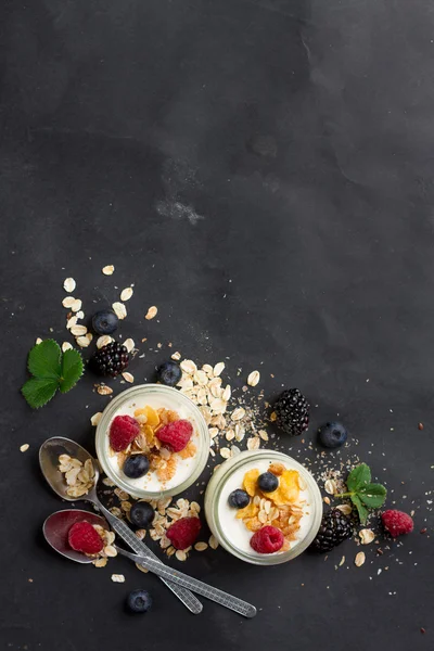 Yoghurt met muesli of muesli — Stockfoto