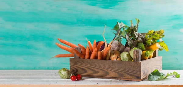 Diferentes verduras frescas — Foto de Stock