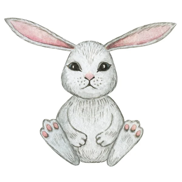 Akvarell Kanin Isolerad Söt Kanin Clipart Akvarell Hare Påsk Kanin — Stockfoto