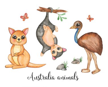 Avustralyalı hayvanlar sanat klipleri, suluboya hayvanlar izole edilmiş, vahşi doğa, kanguru, emu, opossum, küçük vahşi arkadaşlar Clipart