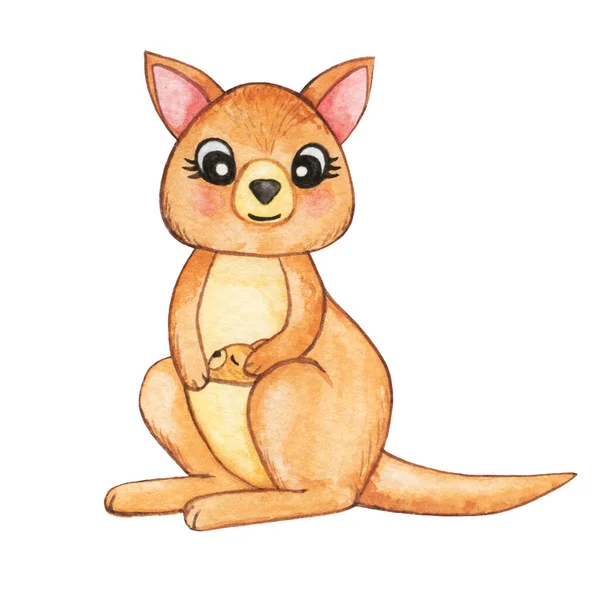 Aquarelle Kangourou Clipart Mignon Kangourou Isolé Animaux Australiens Imprimable Mignon — Photo