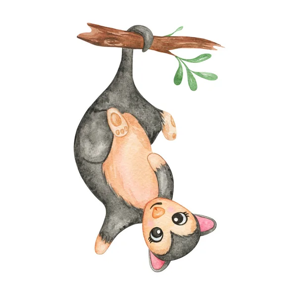 Akvarell Opossum Clipart Australier Pungråtta Isolerad Söta Djur Klipp Konst — Stockfoto