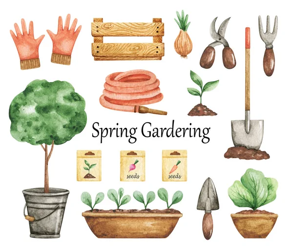 Spring Gardening clipart, Garden tools set, Garden elements, Watercolor garden clipart, plants in pots, hose, gloves, seedling