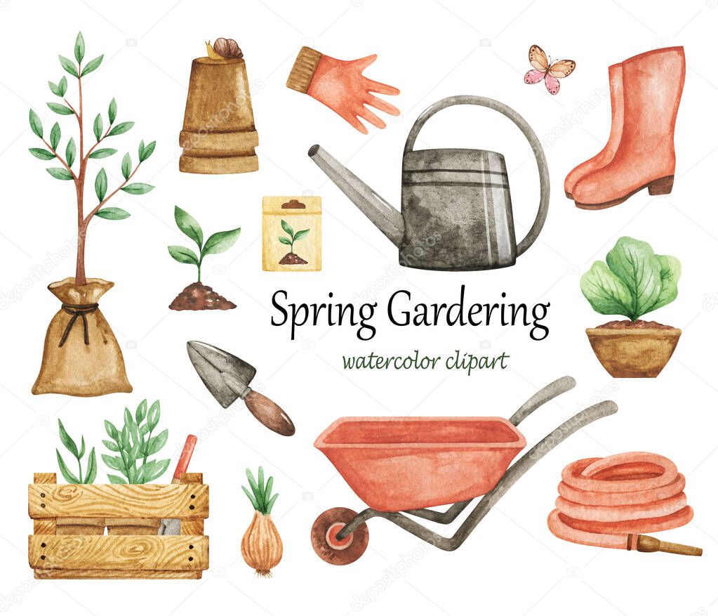 Spring Garden clipart, Garden tools set, Garden elements isolated, Watercolor garden clipart, wheelbarrow, watering can, seeds, wood box, seedling