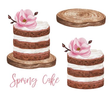 Watercolor cake with flowers clipart, Magnolia flowers, sweet chocolate cake isolated, hand drawn cake illustration, spring clipart, watercolor desserts set, wedding cake clipart