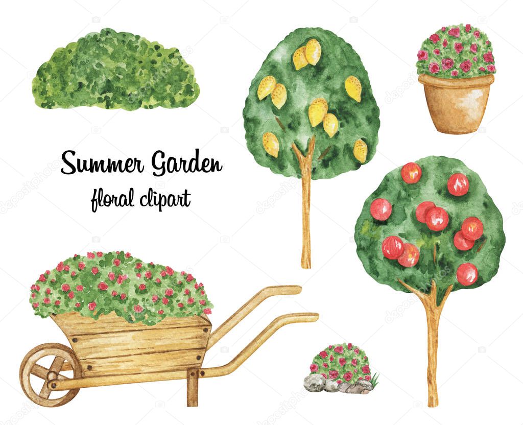 Summer Gardening clipart, Summer clipart, grass bush, lemon and apple tree, garden wheelbarrow, gardening watercolor hand drawn illustration