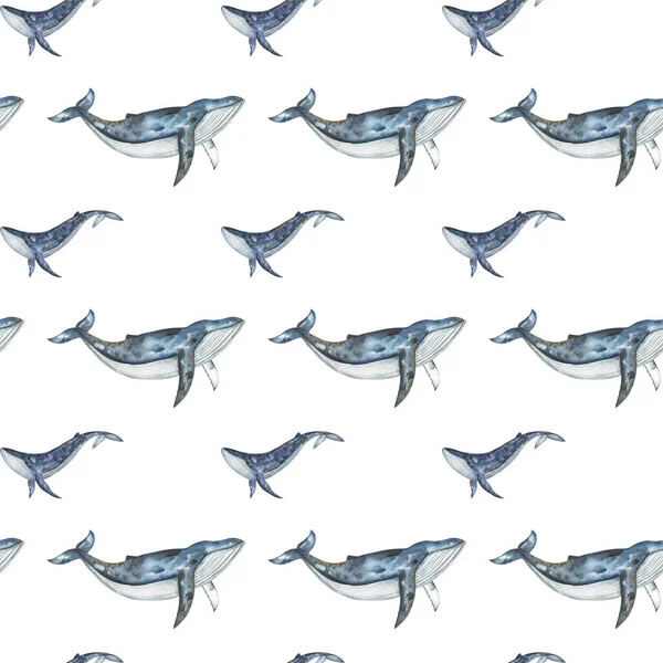 Baleines Bleues Motif Sans Couture Aquarelle Fond Répétitif Baleines Papier — Photo