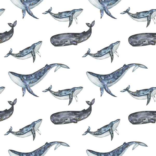 水中動物の背景 青いクジラのシームレスなパターン 水彩クジラ 精子クジラ ザトウクジラ — ストック写真