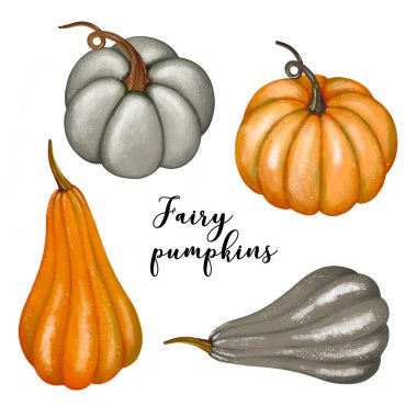 Sonbahar balkabakları kopar, hasat, sulu boya el çizimi balkabağı illüstrasyonu, sonbahar sebzeleri