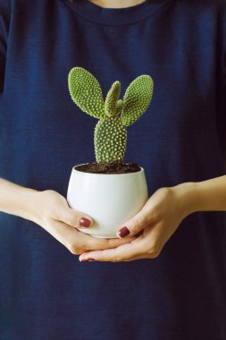 Beyaz tencerede bir kaktüs, mavi arka planda bir kadın tarafından tutulur.