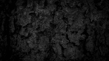 Kara ağaç kabuğu arka planda Doğal yaşlı ağaç kabuğu dokusu Yazın güzel kabuğu olan ağacın yaşına göre