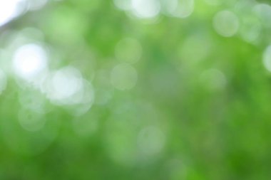 Bahar bokeh doğası soyut arkaplan. Yeşil yapraklar bulanık, ilkbaharda veya yaz mevsiminde güzel, ağaçtan bulanıklaşacak yaprakların odak noktasını seçen yeşil bokehlerdir..