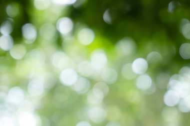 Ağaçtaki yeşil yapraklardan Bokeh arkaplanı. Yeşil açık yeşil ve bulanık sarı. Bu fotoğraf yazın, yeşille çekilmiş. Görüntüyü serin ve gözlere iyi gelir.