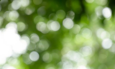 Ağaçtaki yeşil yapraklardan Bokeh arkaplanı. Yeşil açık yeşil ve bulanık sarı. Bu fotoğraf yazın, yeşille çekilmiş. Görüntüyü serin ve gözlere iyi gelir.