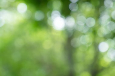 Ağaçtaki yeşil yapraklardan Bokeh arkaplanı. Yeşil açık yeşil ve bulanık sarı. Bu fotoğraf yazın, yeşille çekilmiş. Görüntüyü serin ve gözlere iyi gelir.