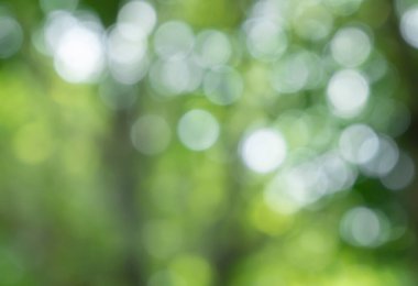 Ağaçtaki yeşil yapraklardan Bokeh arkaplanı. Yeşil açık yeşil ve bulanık sarı. Bu fotoğraf yazın, yeşille çekilmiş. Görüntüyü serin ve gözlere iyi gelir.