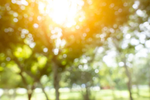 Fondo Bokeh Desenfocado Jardín Con Árboles Flor Día Soleado Telón — Foto de Stock