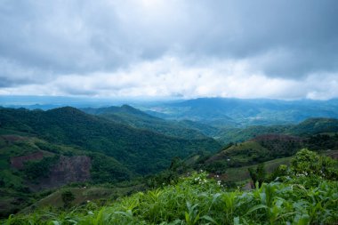 cloud covered the mountain peak in the north of Thailand.