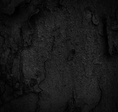 Kara ağaç kabuğu arka planda Doğal yaşlı ağaç kabuğu dokusu Yazın güzel kabuğu olan ağacın yaşına göre