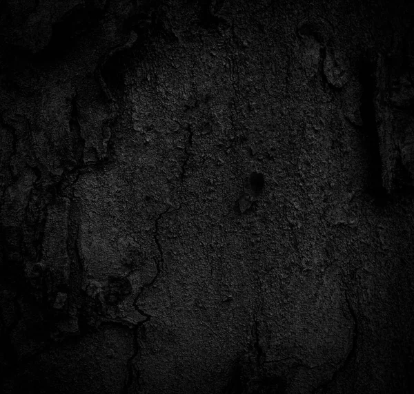 Black Tree Bark Background Natural Beautiful Old Tree Bark Texture — Stock Photo, Image