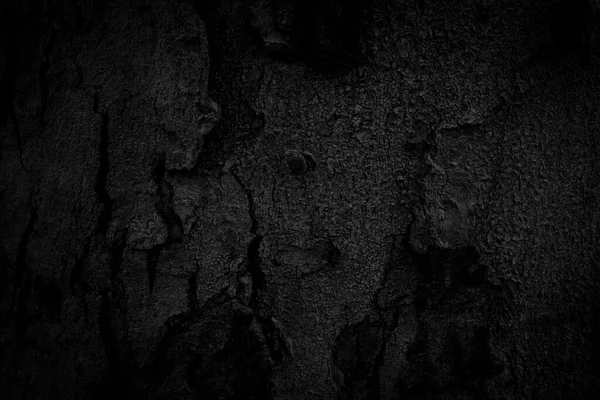Schwarze Baumrinde Hintergrund Natürliche Schöne Alte Baumrinde Textur Nach Alter — Stockfoto