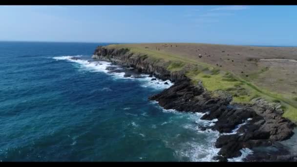 オーストラリアのニューサウスウェールズ州の南海岸にあるキアマの町の近くにあるKeleula Headの空中映像 — ストック動画