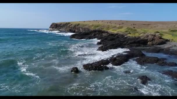 Imágenes Aéreas Keleula Head Cerca Del Municipio Kiama Costa Sur — Vídeo de stock