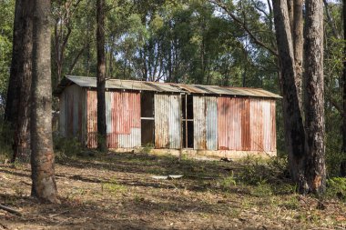 Avustralya 'nın Yeni Güney Galler bölgesindeki Wollemi Ulusal Parkı' nda harap olmuş eski bir bina.