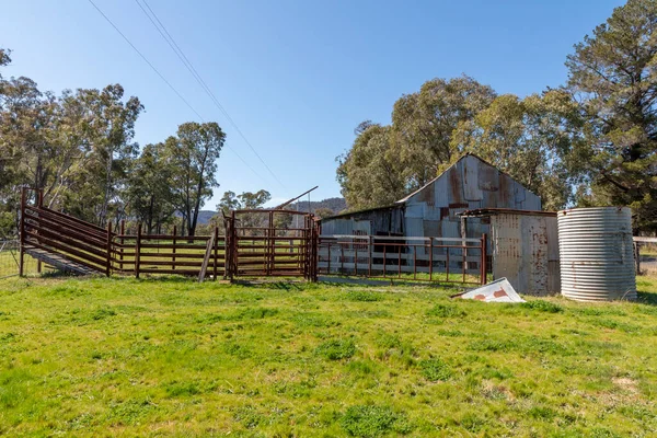 Een Oude Roestige Schuur Tanks Een Groen Veld Regionaal Australië — Stockfoto