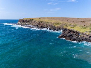 Avustralya 'da Yeni Güney Galler' in güneyindeki Kiama 'daki sahil koyunda.