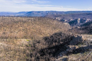 Avustralya 'nın Yeni Güney Galler bölgesindeki Mavi Dağlar' daki orman yangınları sonrasında orman yenilenmesinin havadan görüntüsü