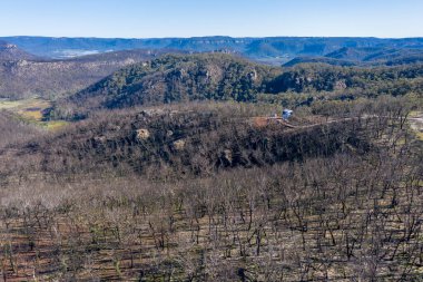 Avustralya 'daki Yeni Güney Galler' deki Mavi Dağlar 'daki orman yangınlarından sonra orman yenilenmesinin havadan görüntüsü