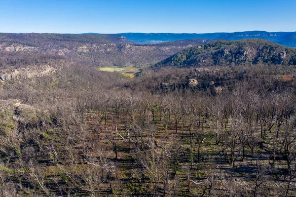 Flygfoto Över Skogsförnyelse Efter Skogsbränder Blue Mountains New South Wales — Stockfoto