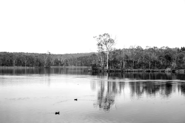 Ein Großes Süßwasserreservoir Regionalen Australien — Stockfoto
