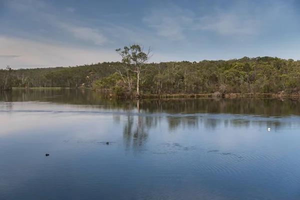 Velká Sladkovodní Nádrž Regionální Austrálii — Stock fotografie