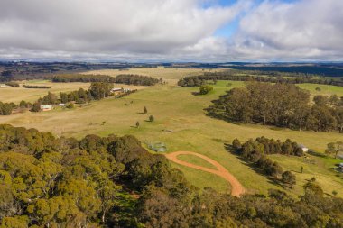 Avustralya 'nın taşrasındaki yeşil otlaktaki koyunların havadan görünüşü