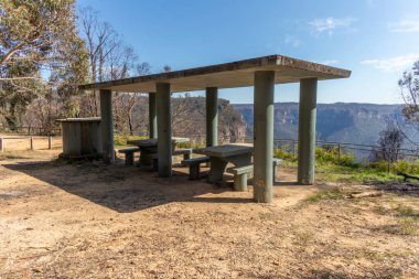 Avustralya 'nın Yeni Güney Galler bölgesindeki Mavi Dağlar' da ormandaki bir dinlenme alanı.