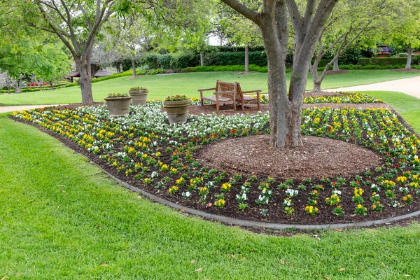 Colorido Arreglo Flores Alrededor Base Gran Árbol Con Macetas Bancos —  Fotos de Stock