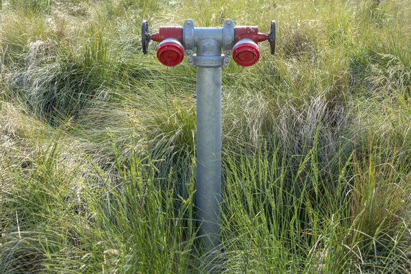 オーストラリア地方の草や雑草の間で工業用消火栓 — ストック写真