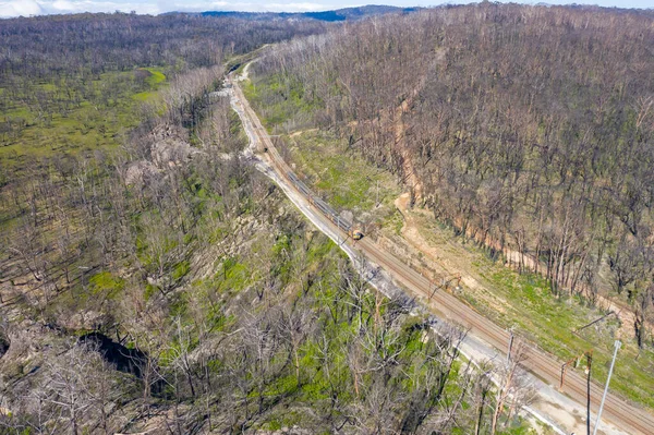 Vista Aérea Tren Que Atraviesa Área Regeneración Forestal Después Los — Foto de Stock