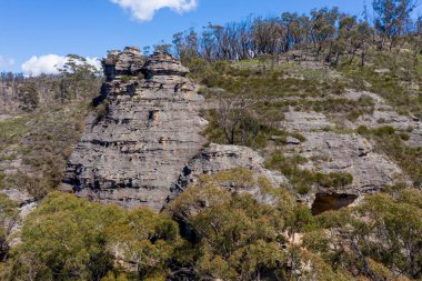 Avustralya 'nın Yeni Güney Galler bölgesindeki Merkez Tablolardaki büyük bir vadideki orman yangınları sonrasında orman yenilenmesinin havadan görüntüsü