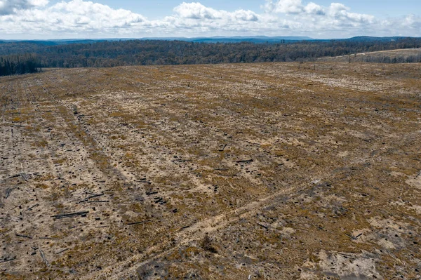 Vista Aérea Campo Abierto Despejado Afectado Por Incendios Forestales Las — Foto de Stock