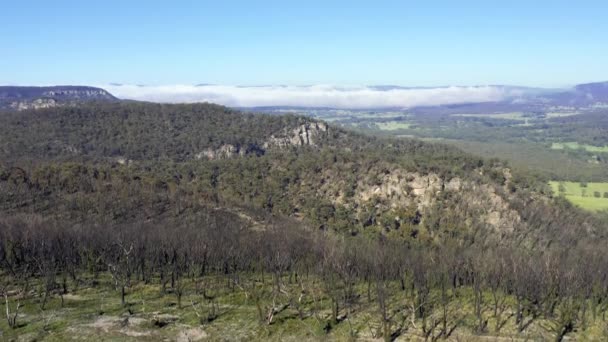 Images Aériennes Régénération Forêt Dans Une Vallée Avec Des Nuages — Video