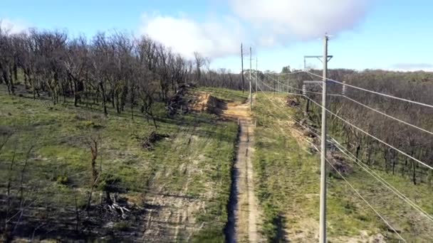 Légi Felvétel Egy Földpályáról Telefonpóznákról Drótokról Erdőben Bozótvidéken Amelyek Dél — Stock videók