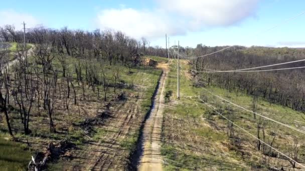 Luchtbeelden Van Een Zandpad Telefoonpalen Draden Bossen Struiken Die Regenereren — Stockvideo